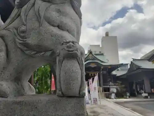 柏神社の狛犬