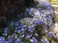 寿量山 速成寺の自然