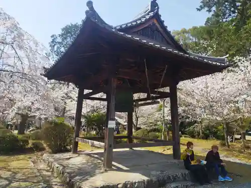 醍醐寺(京都府)
