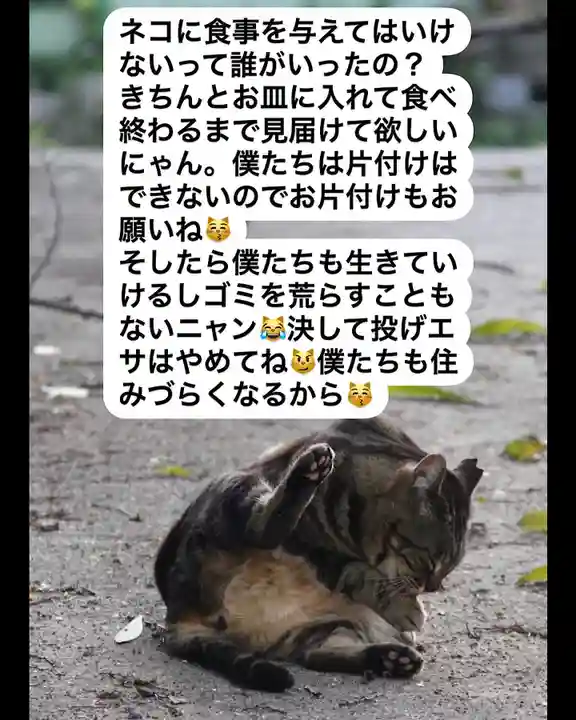 専念寺(大阪府)