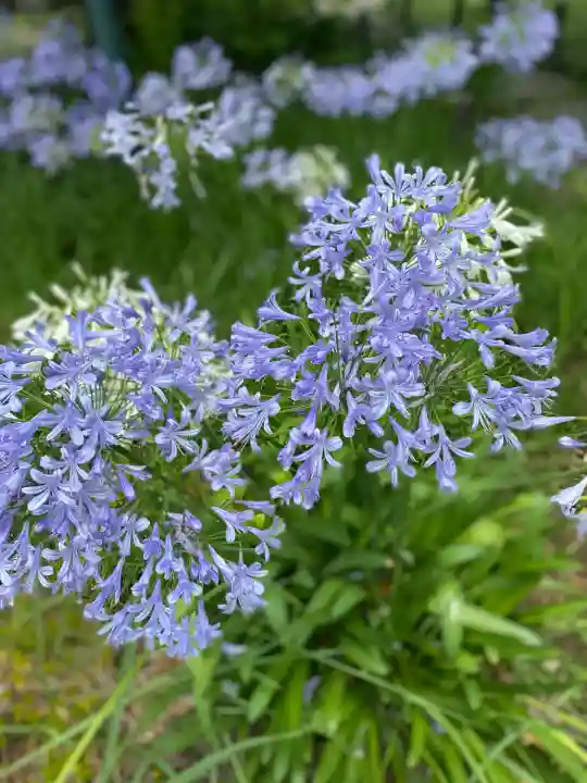 靖國神社(東京都)