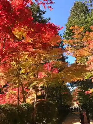 壇上伽藍の自然