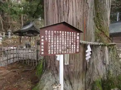 戸隠神社中社のその他建物