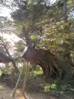 木内大神(千葉県)