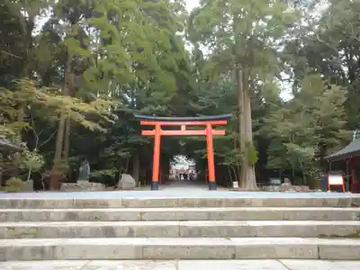 霧島神宮の鳥居