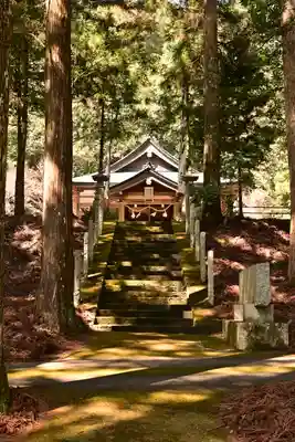 八幡神社(渋草)(愛媛県)