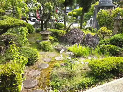 善楽寺(高知県)
