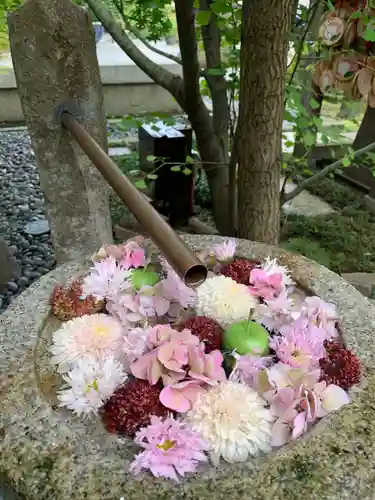 行田八幡神社の庭園