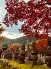 化野念仏寺の建物その他