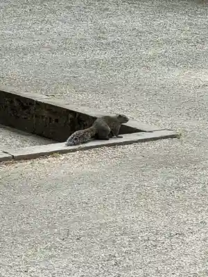 明月院(神奈川県)