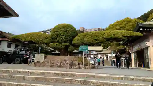 照國神社(鹿児島県)