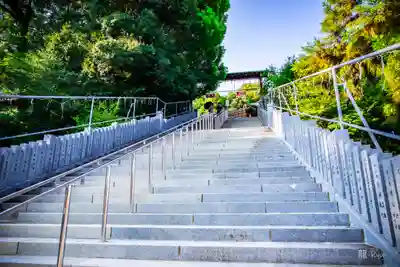 針綱神社(愛知県)