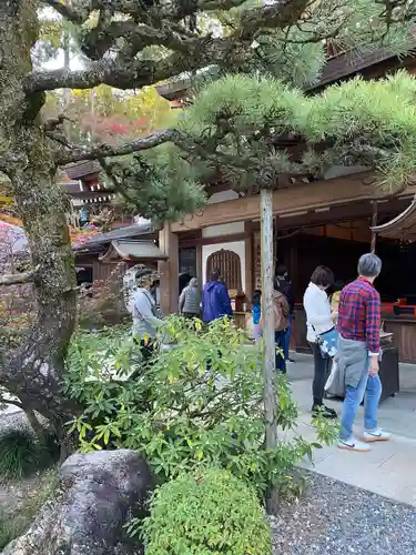 目の霊山　油山寺(静岡県)