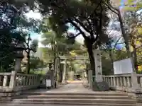 赤坂氷川神社の鳥居