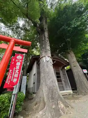 相模国総社六所神社(神奈川県)