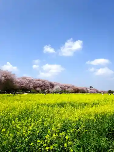 上高野神社(埼玉県)