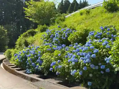倶利迦羅不動寺鳳凰殿(石川県)