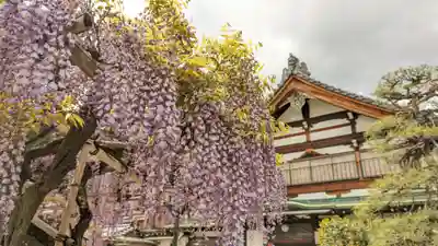 慈眼寺(京都府)