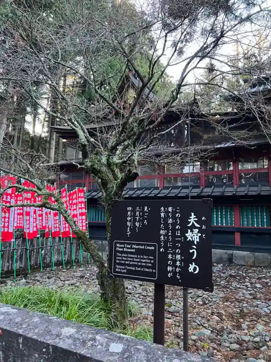 北口本宮冨士浅間神社の自然