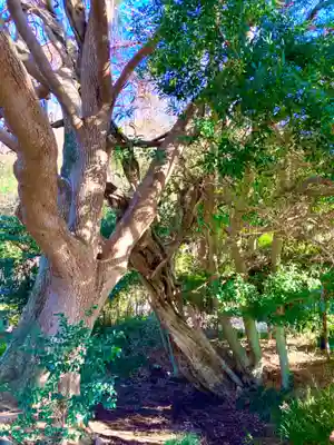 冨士浅間神社(茨城県)