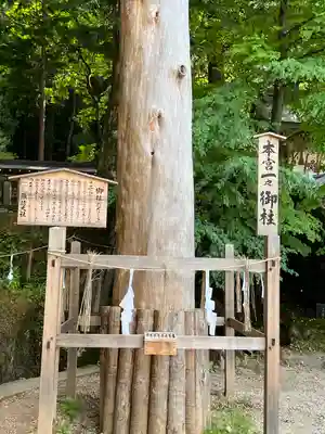 諏訪大社(長野県)