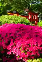 根津神社の景色