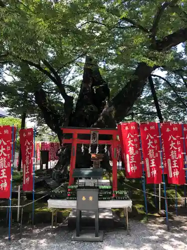 秩父今宮神社(埼玉県)