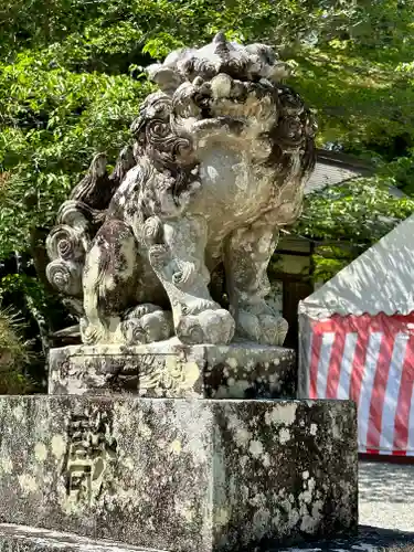 出雲大神宮の狛犬