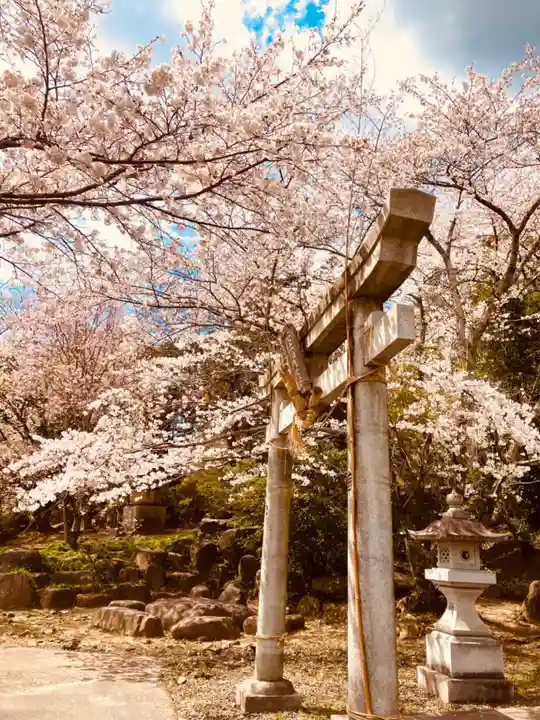 金嶽神社(茨城県)