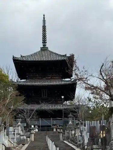 くろ谷 金戒光明寺(京都府)