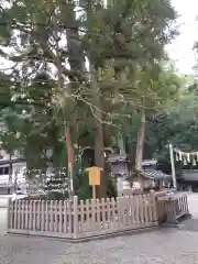 大神神社(奈良県)