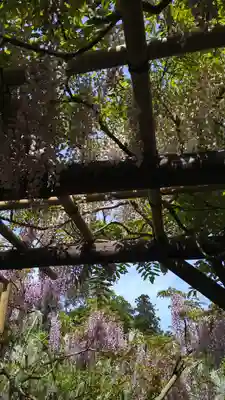 歌泉堂（春日大社神苑萬葉植物園内鎮座）(奈良県)