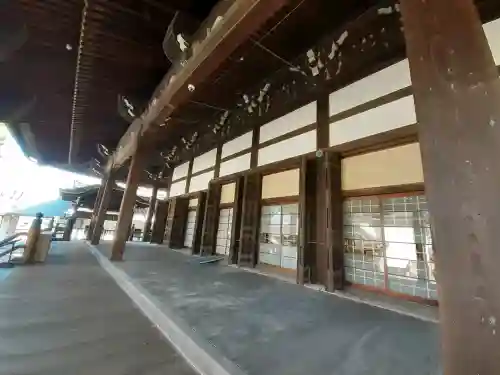 本願寺堺別院の{uncategorized: "未分類", other: "その他", undefined: "問題あり", building: "その他建物", grave: "お墓", sacred_gate: "鳥居", guardian: "狛犬", statue: "像", buddha: "仏像", history: "歴史", nature: "自然", garden: "庭園", animal: "動物", pagoda: "塔", temizu: "手水舎", mountain_gate: "山門・神門", sanctuary: "本殿・本堂", subordinate: "末社・摂社", art: "芸術", scenery: "景色", jizo: "地蔵", ema: "絵馬", goshuin: "御朱印", omikuji: "おみくじ", items: "授与品その他", amulet: "お守り", goshuincho: "御朱印帳", eats: "食事", festival: "お祭り", votive_dance: "神楽", shichigosan: "七五三参", wedding: "結婚式", experience: "体験その他", initially: "初詣", around: "周辺", anti_infection: "感染症対策"}