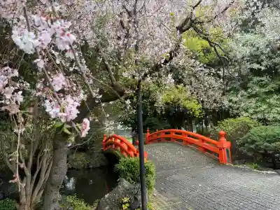 富知六所浅間神社の{uncategorized: "未分類", other: "その他", undefined: "問題あり", building: "その他建物", grave: "お墓", sacred_gate: "鳥居", guardian: "狛犬", statue: "像", buddha: "仏像", history: "歴史", nature: "自然", garden: "庭園", animal: "動物", pagoda: "塔", temizu: "手水舎", mountain_gate: "山門・神門", sanctuary: "本殿・本堂", subordinate: "末社・摂社", art: "芸術", scenery: "景色", jizo: "地蔵", ema: "絵馬", goshuin: "御朱印", omikuji: "おみくじ", items: "授与品その他", amulet: "お守り", goshuincho: "御朱印帳", eats: "食事", festival: "お祭り", votive_dance: "神楽", shichigosan: "七五三参", wedding: "結婚式", experience: "体験その他", initially: "初詣", around: "周辺", anti_infection: "感染症対策"}