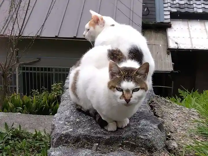 熊野若王子神社(京都府)