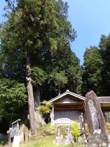 有洞薬師堂(愛知県)