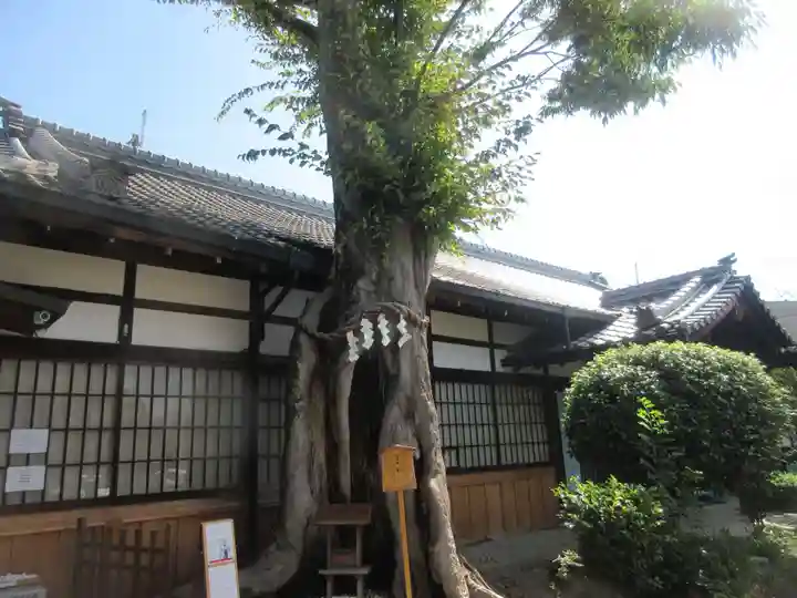 三輪坐恵比須神社(奈良県)