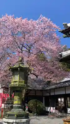 修禅寺(静岡県)