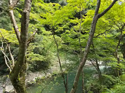 西明寺(京都府)