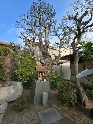 飛行神社の{uncategorized: "未分類", other: "その他", undefined: "問題あり", building: "その他建物", grave: "お墓", sacred_gate: "鳥居", guardian: "狛犬", statue: "像", buddha: "仏像", history: "歴史", nature: "自然", garden: "庭園", animal: "動物", pagoda: "塔", temizu: "手水舎", mountain_gate: "山門・神門", sanctuary: "本殿・本堂", subordinate: "末社・摂社", art: "芸術", scenery: "景色", jizo: "地蔵", ema: "絵馬", goshuin: "御朱印", omikuji: "おみくじ", items: "授与品その他", amulet: "お守り", goshuincho: "御朱印帳", eats: "食事", festival: "お祭り", votive_dance: "神楽", shichigosan: "七五三参", wedding: "結婚式", experience: "体験その他", initially: "初詣", around: "周辺", anti_infection: "感染症対策"}