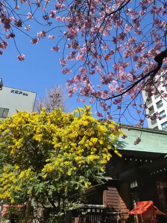蔵前神社(東京都)