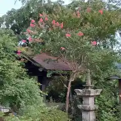 長命寺の建物その他