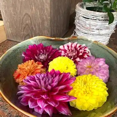 伊和志津神社のその他建物