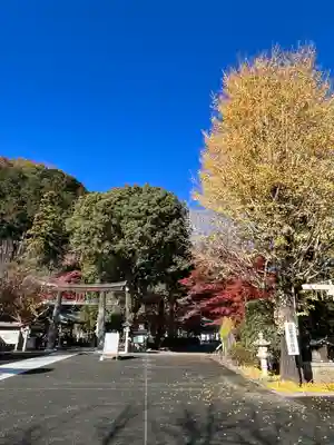 高麗神社(埼玉県)