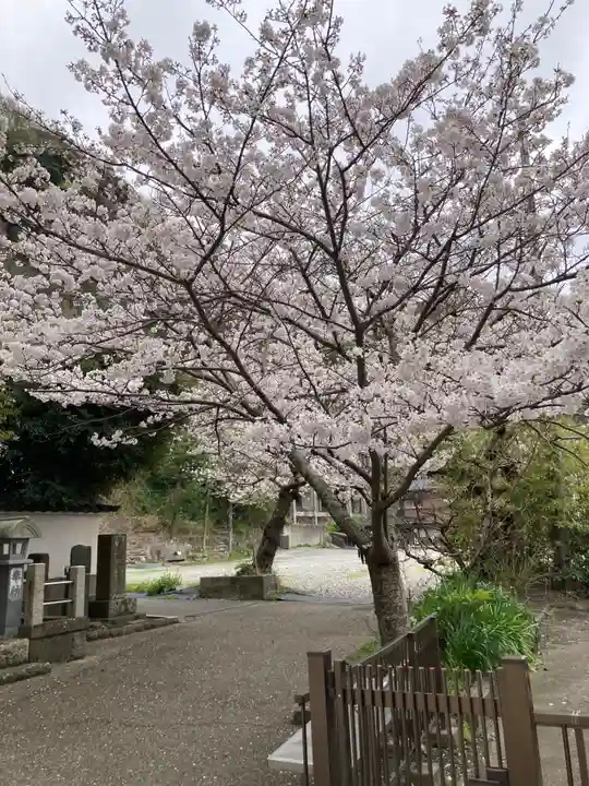 光明寺(神奈川県)