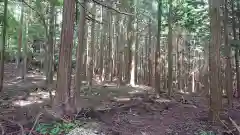 富士山東口本宮 冨士浅間神社の自然