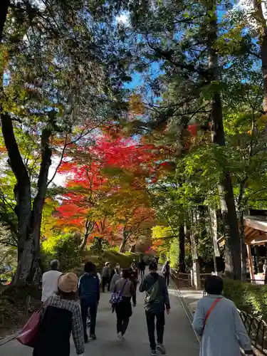 中尊寺の景色