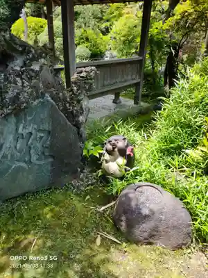 多聞寺の狛犬