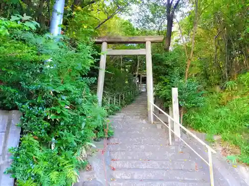 橘神社の鳥居