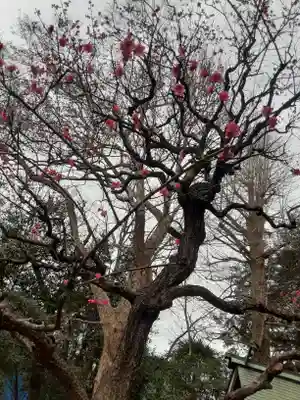 小金井神社(東京都)